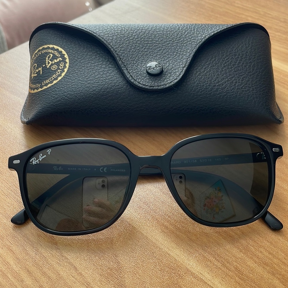 Ray-Ban Leonard Polarized Sunglasses